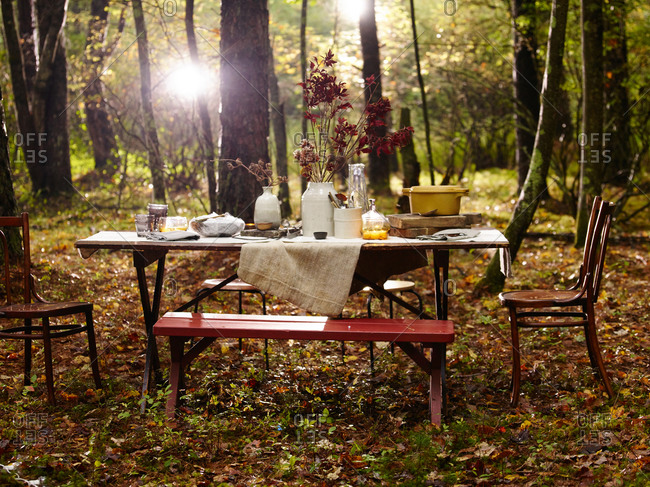 Table set in the woods for a fall dinner party