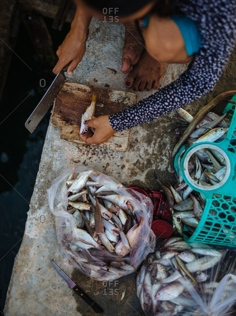 A woman preps fish on a dock, Cambodia
