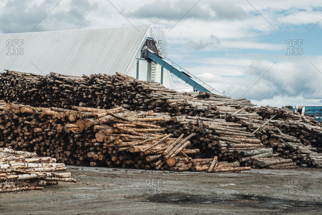 Stack of logs at lumber mill