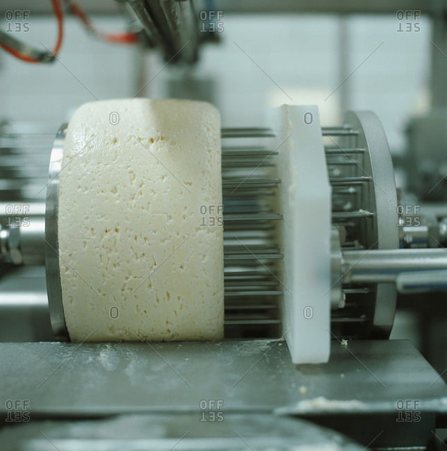 Cheese being processed in a manufacturing plant