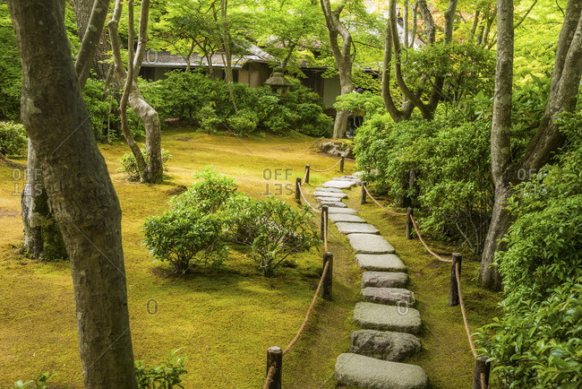 Paving stones in a Japanese forest