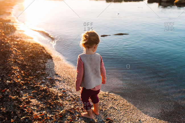 Back view of toddler girl walking barefoot at water's edge at sunset in autumn