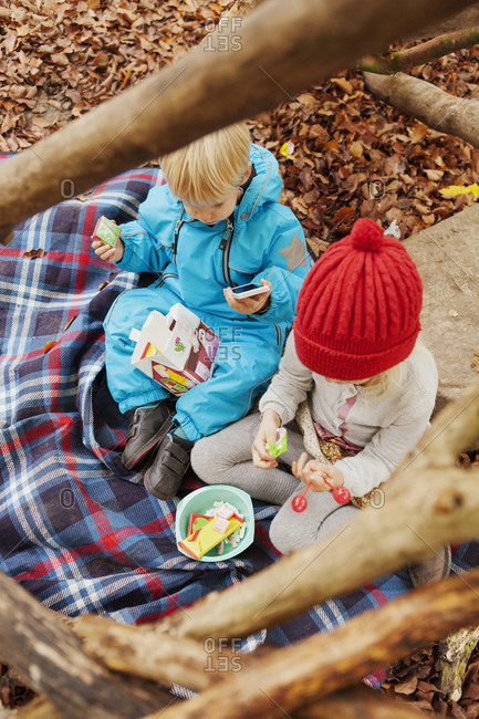 Brother and sister having a fall picnic under a tree