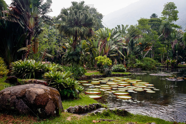 Jardim Botanico or the Botanical Gardens, Rio de Janeiro, Brazil