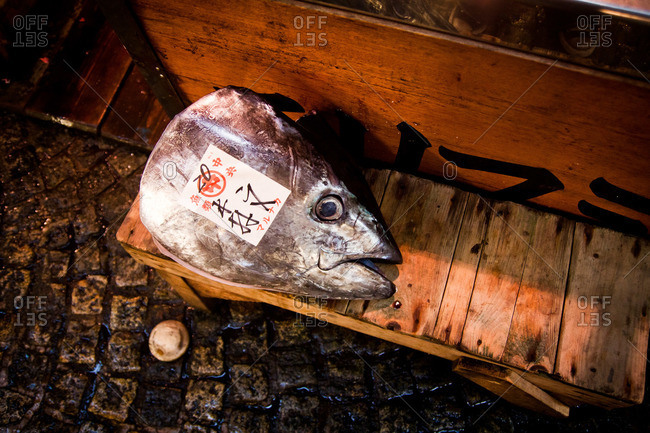 Large fish head in an Asian fish market