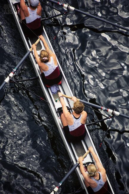 Overhead view of female crew racers rowing scull boat, Seattle, WA USA