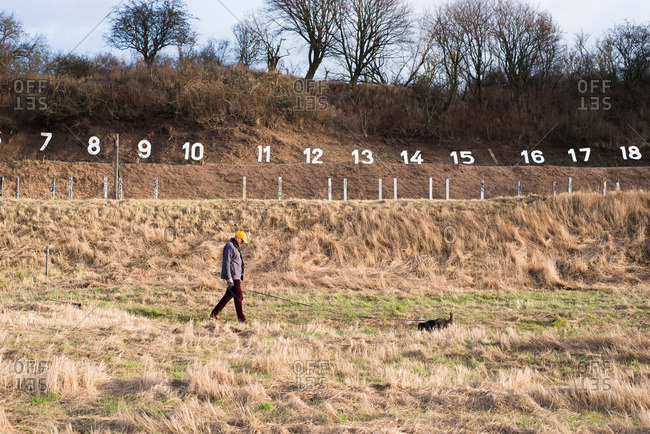 Person and dog walking in a field of dried grass in front of a series of numbers on a hill