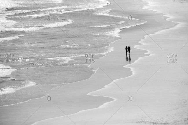 Couple walking dogs along picturesque beach