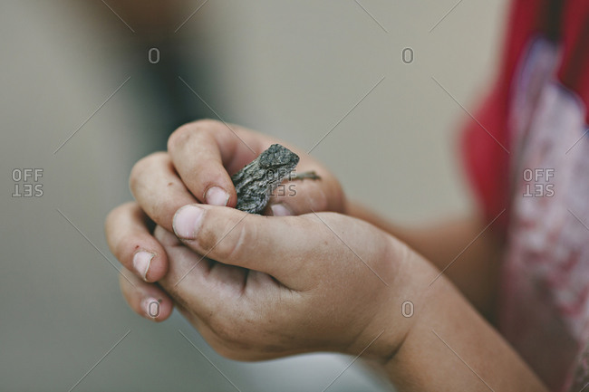 Boy holding a small lizard