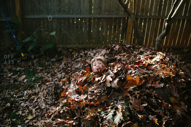 Boy having fun in a leaf pile in the fall