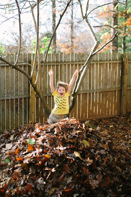 Boy jumping from a tree into a leaf pile in the fall