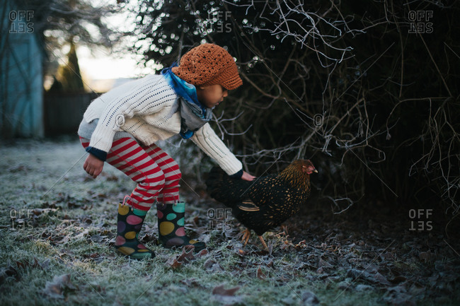 Little girl standing in frosty grass petting a chicken