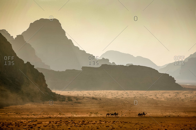 Camels riding in the desert in Wadi Rum, Jordan