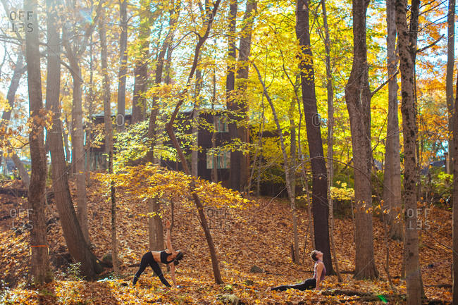 Two women practicing yoga in the woods