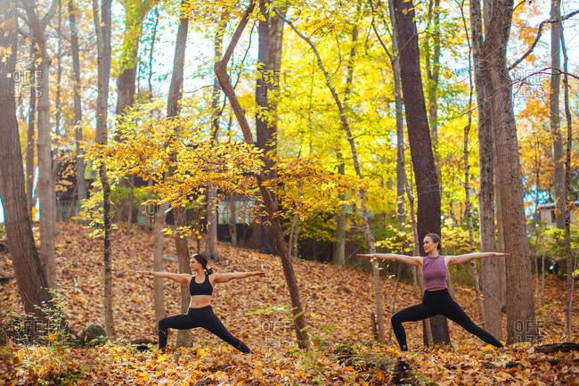 Two women practicing yoga in the forest