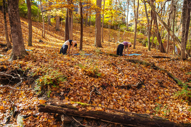 Two women doing yoga in the forest