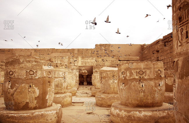 Birds flying over temple in Egypt