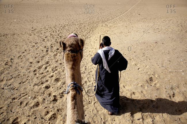 View of camel driver and head of camel from its back