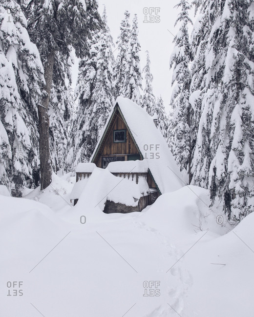 Snowed-in A-frame cabin in woods
