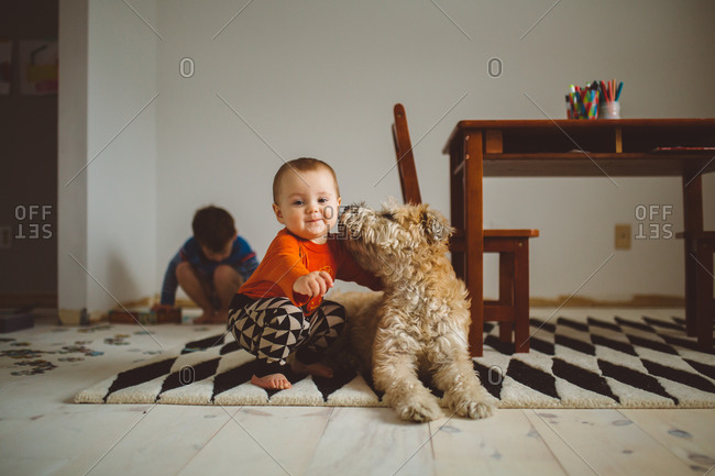 Baby squatting on carpet next to pet dog