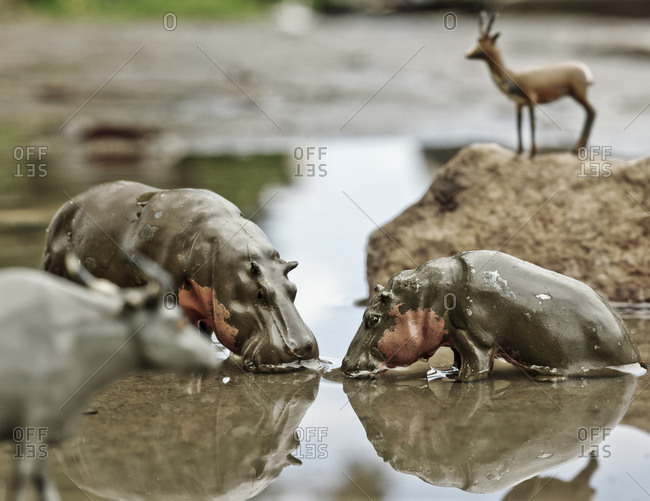 Lead figures of hippos drinking water
