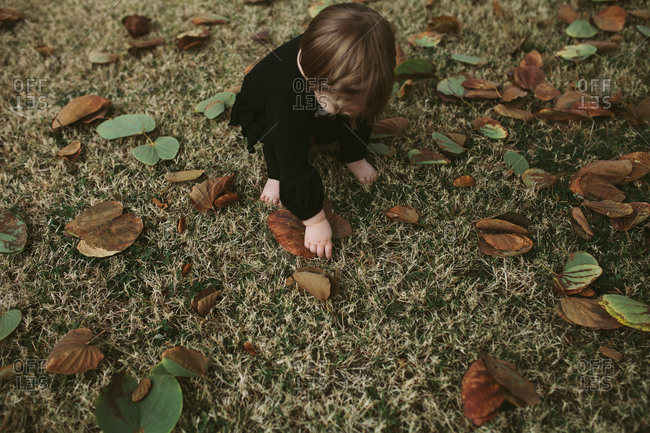 Toddler girl picking up leaves off grass