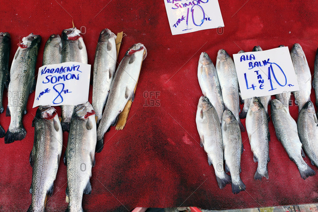 Fresh fish for sale at fish market