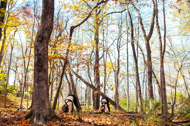 Women doing yoga in the autumn forest