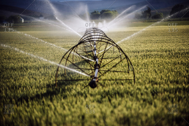 Irrigation system watering crops on farm