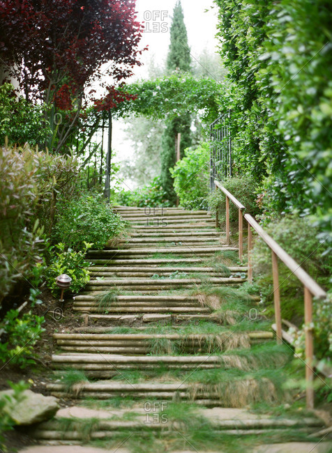 Wooden steps leading up to an arbor in a garden