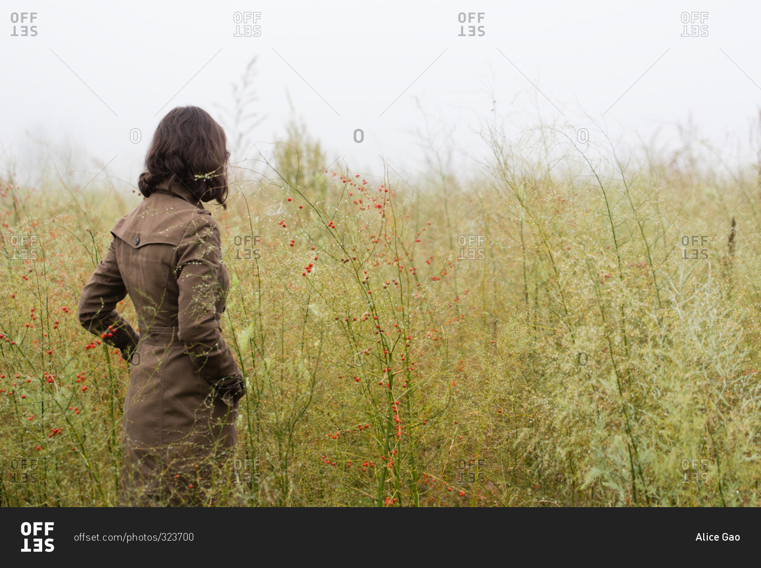 Woman Standing In A Field Of Tall Wild Grass Stock Photo OFFSET