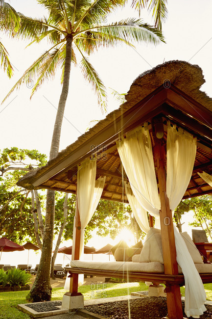 Low angle view of cabana under palm tree
