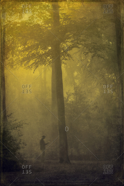 Man during fog in forest