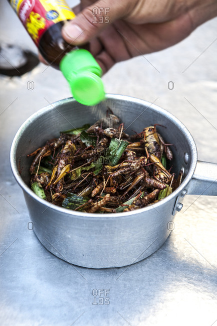 Hand of a person putting sauce on a pot of Thai cooked insects