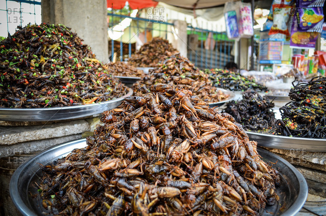 Pile of insects in market