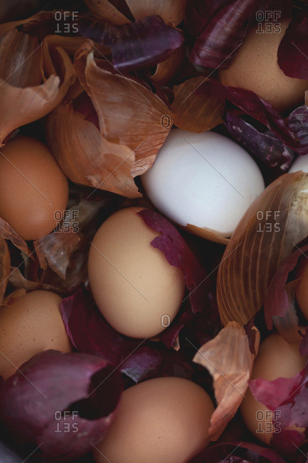 Onion skins used for natural Easter egg dye