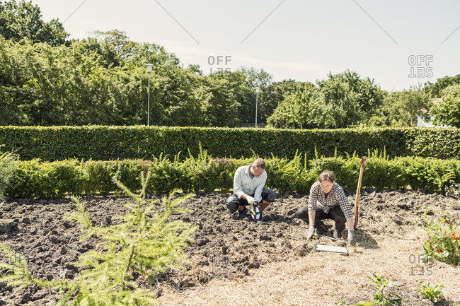 Couple working at community garden