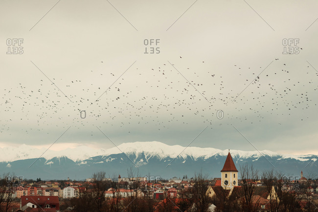 Birds over town by mountains
