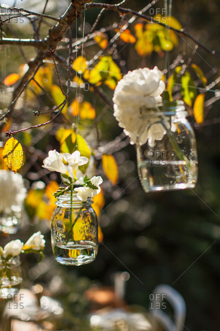 Blooms in jars hanging from branches at an outdoor wedding reception