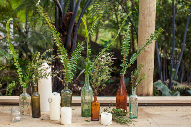 Arrangement of ferns and other greenery in glass bottles for wedding reception decor