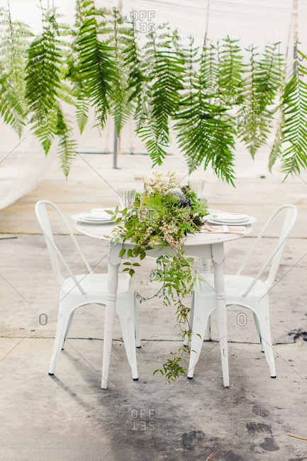 Garland of ferns leaves hangs over a table in  with floral centerpiece in greenhouse