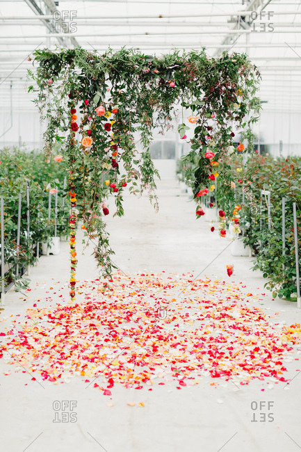 Floral arch set up in greenhouse for wedding