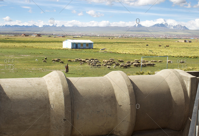 A sheep herder herding sheep by a water pipe at a water treatment plant in Bolivia