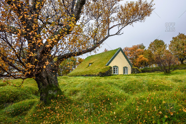 Hofskirkja Church with turf roof at Hof, Iceland