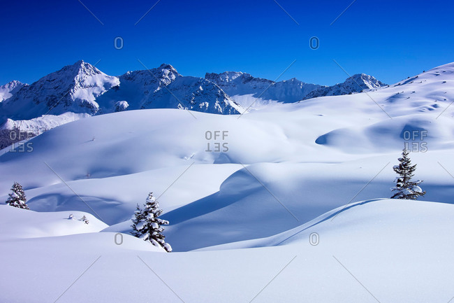 Deep snow covered landscape and fir trees, Arosa, Switzerland