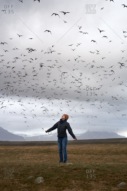 Woman with her arms out looking up at a large flock of swallows birds flying around her in a field