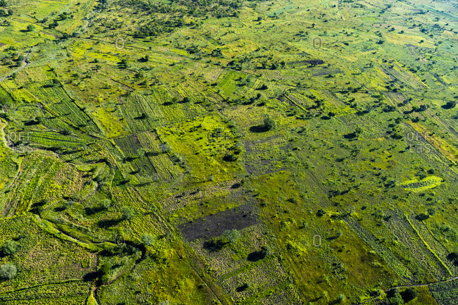Small subsistence farms dot a lush green plain near the Zambezi River