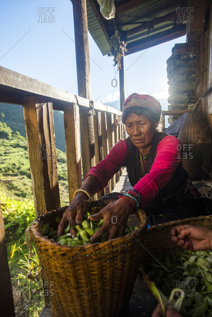 A Tamang woman peals little squashes in a small village called Briddim in the Langtang region of Nepal