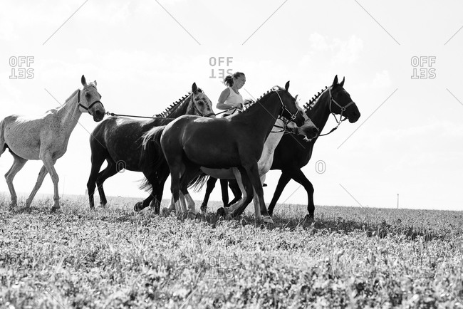 Woman riding and leading six horses in field