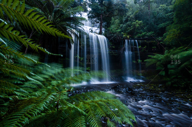 A misty curtain of water cascades down a tiered waterfall in a cool temperate rainforest